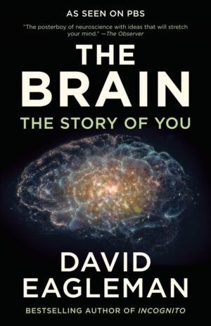 the brain: the story of you