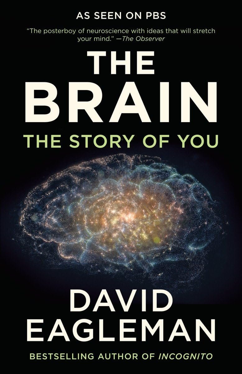 the brain: the story of you the brain: the story of you
