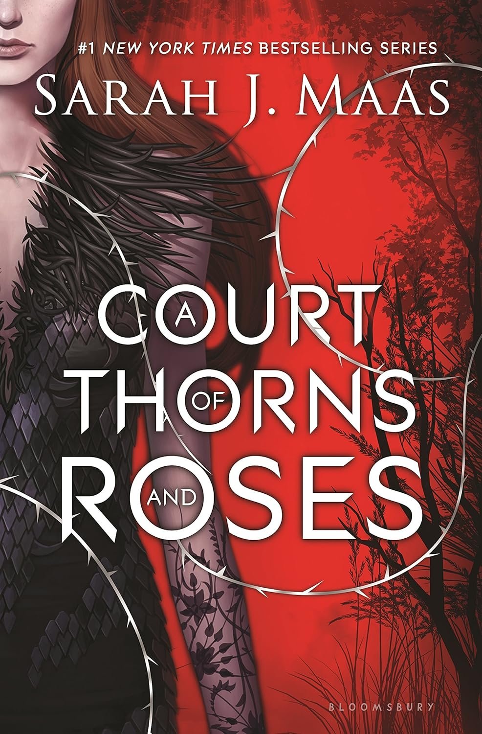 a court of thorns and roses book a court of thorns and roses book