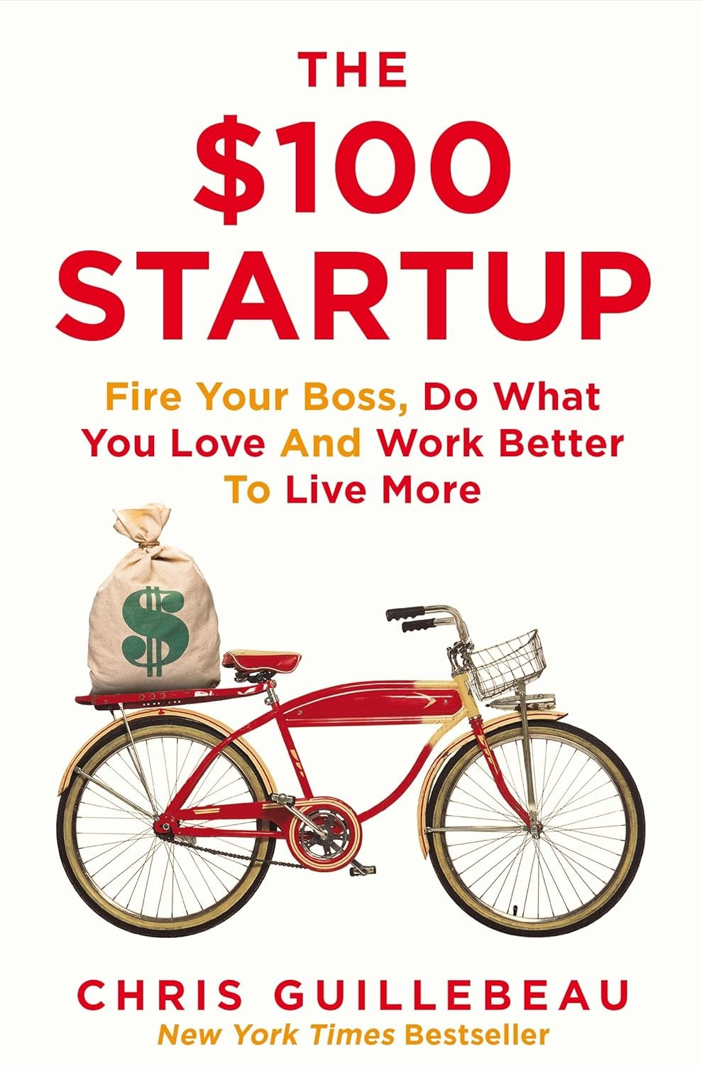 the $100 startup the $100 startup