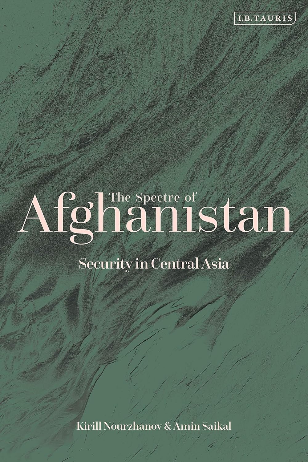 the spectre of afghanistan security in central asia the spectre of afghanistan security in central asia